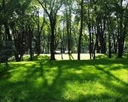 � �������� ������� ����� ��������� ����