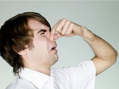 � ������-�������� �������� ������������� 23 ������ ���������� ��������� ���������� ������������ �� ������������