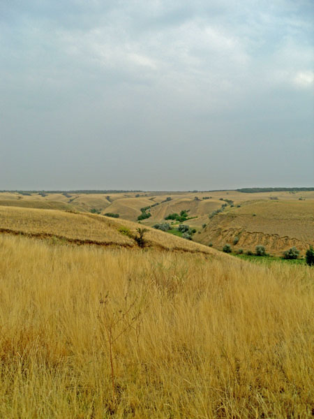04.jpg
