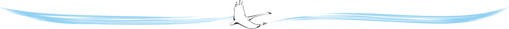 ����� 2.png