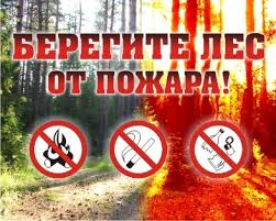 images (8).jpg