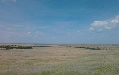 80_1280.jpg