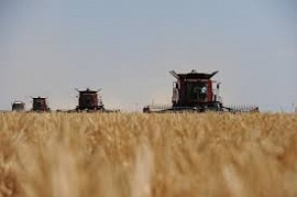 � ������������� ������� �������� ��������� ��������