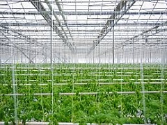 �������� ���: � ������������� ������� ������ ����� ��������� ��������