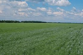 �� ���� ������������� ������� ������ 724 ������ ��������� ����������� ���������