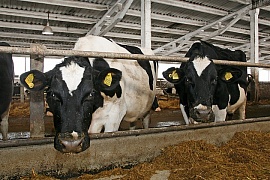 ���������� ������� ������������� ������� ������� ������ �� �������� ��������