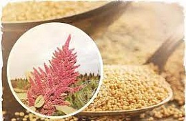 � ������� ������� �������� ��� ��������� ����������� ����������� ��������