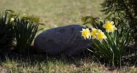 � ��������� ������ ���������� ��������� ������������ ���������