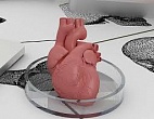     3D-