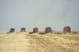 � ������������� ������� ������� ������ ������� ���� �����