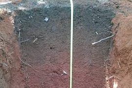� �������� ���������� ������ ����� ����������� ������� �����������