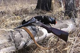 � ������������� ������� ��������� ���������� ������ �����