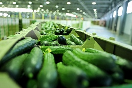 ��������� ��������� ������������� ������� ���������� ������ ������� ���������