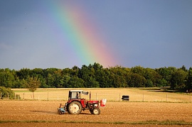 Волгоградские аграрии получат средства на поддержку сельхозработ