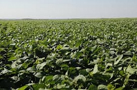 � ������� ��������� �������� ��������� ���� ����