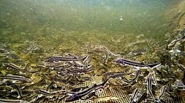 ������������� ����������� ������������� ������� ���������� ������ ��������������� ������ ����� ���