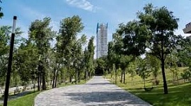 � ����� ������ � ���������� �������� ��������� ����