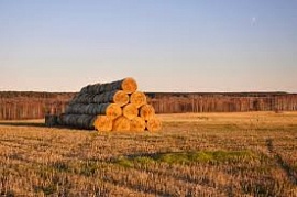 � ������������� ������� ����������� ���������� ������ ��� �������� ������� �����