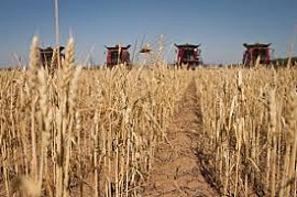 � ������������� ������� ������� 1 ��� ���� �����