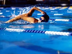 ������������� ������ ����� ������� � ���